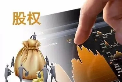 公司股權(quán)