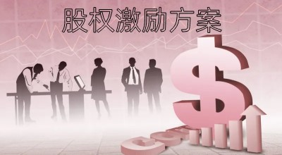 股權(quán)激勵方案