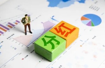 股東分紅形式